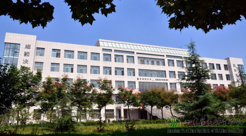 山东服装职业学院